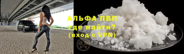 трава Белокуриха