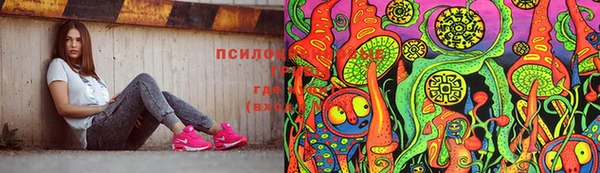 тгк Беломорск