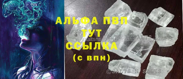 трава Белокуриха