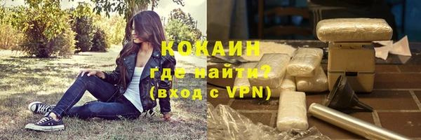 трава Белокуриха