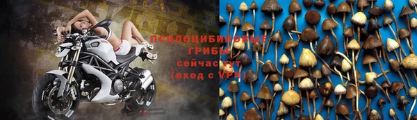 каннабис Магас